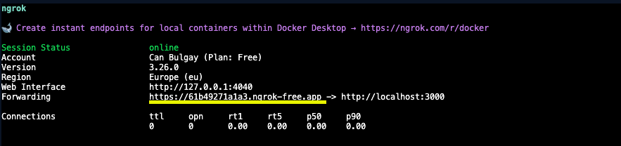 Ngrok Terminal Look Ngrok Interface